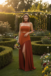 Terracota Elegant Strapless Party Dress