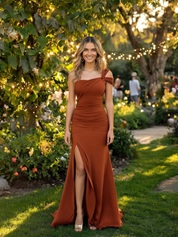 Rust elegant Party Dress