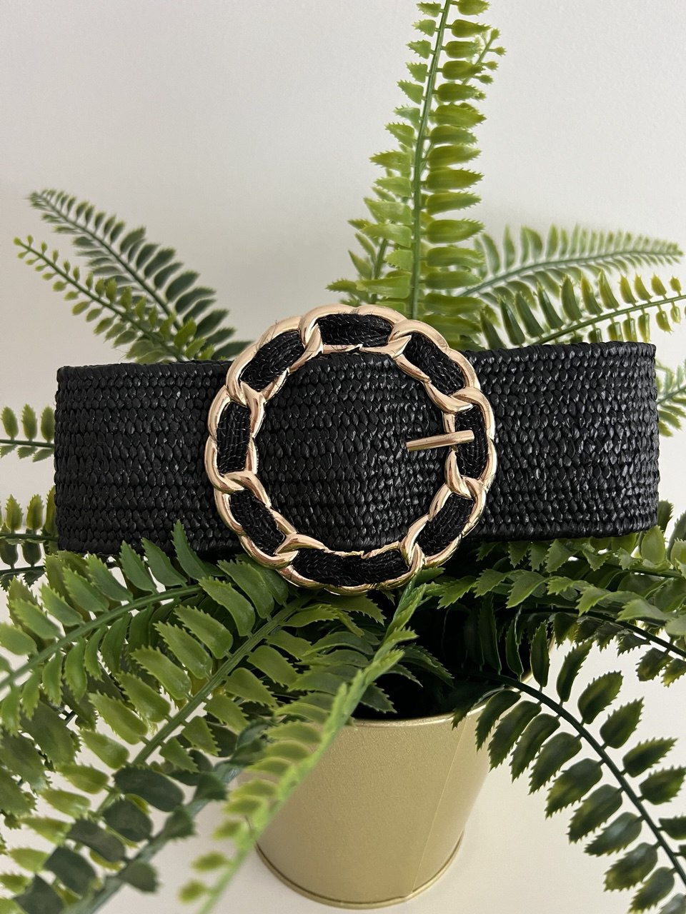 Black desert belt